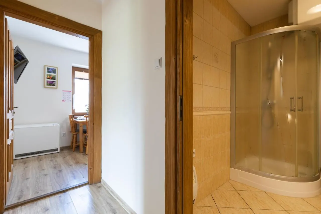 דירה Apartamenty Zakopane Krupowki פולין